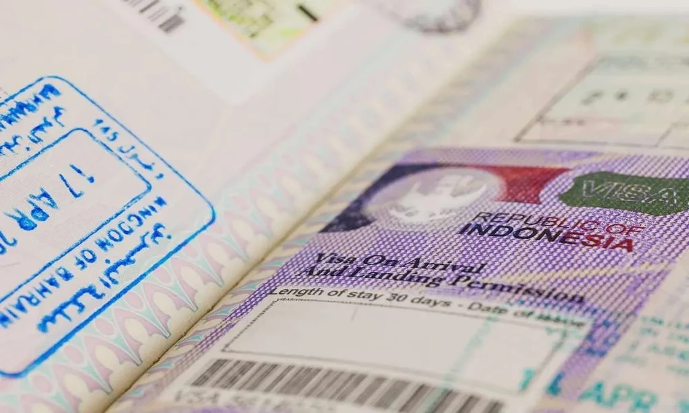 Visa - Un papel importante y necesario