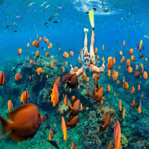 Phu Quoc - Día libre