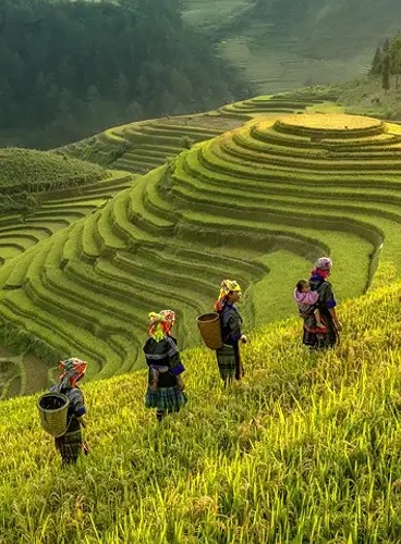 Visado Camboya – Todo lo que sabe antes