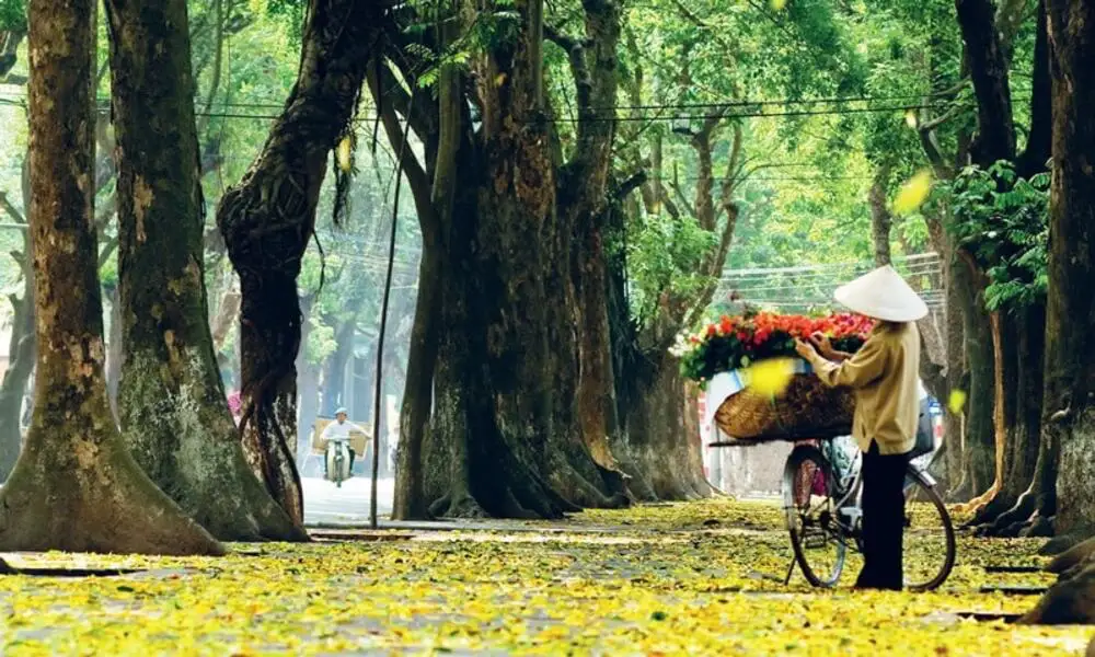 El otoño romántico en Hanói