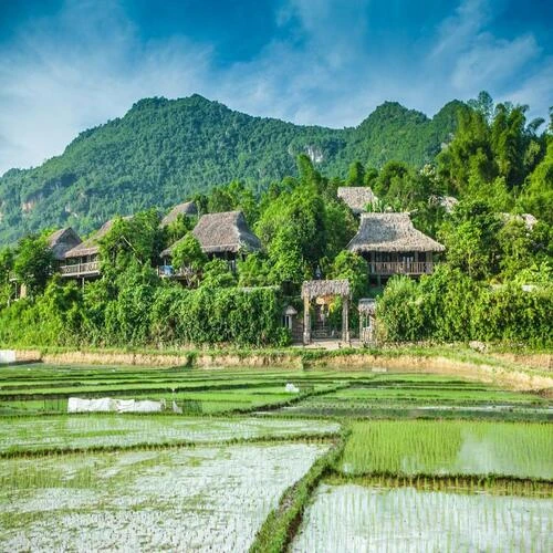 https://avexvietnamtravel.com/wp-content/uploads/2025/06/Mai-Chau-Ecolodge.webp