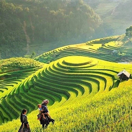 SAPA - LAO CHAI - TA VAN