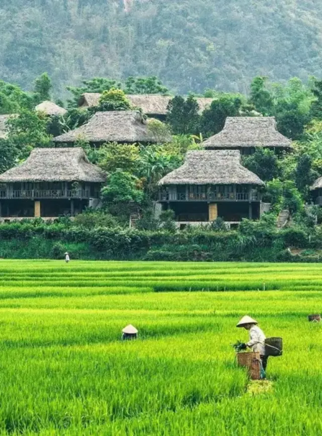 12 días de encanto Vietnamita