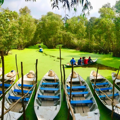 Chau Doc - Bosque de Melaleuca Tra Su - Ho Chi Minh