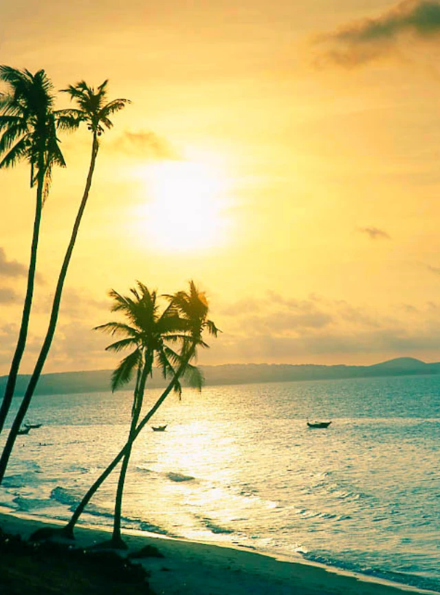 Descubre Vietnam: cultura, playas y dunas