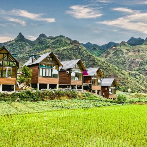 https://avexvietnamtravel.com/wp-content/uploads/2025/07/Du-Gia-Homestay.webp