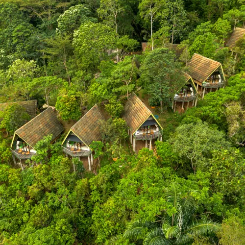 https://avexvietnamtravel.com/wp-content/uploads/2025/07/Eco-Lodge.webp