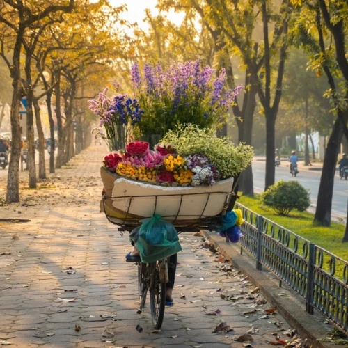Hanoi - Llegada