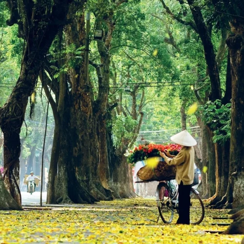 Hanoi - Llegada