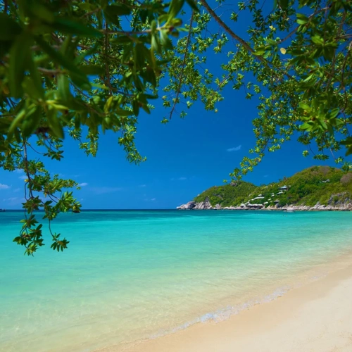 Koh Tao – Día libre