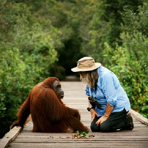 Ruta por Borneo