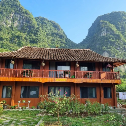 https://avexvietnamtravel.com/wp-content/uploads/2025/07/Mr.Kims-Homestay.webp