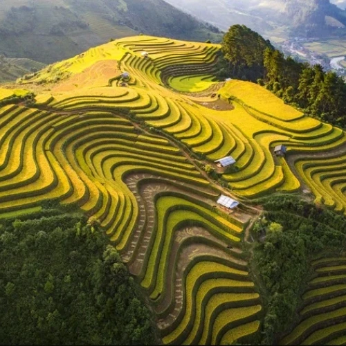 Mu Cang Chai - Traslado a Sapa