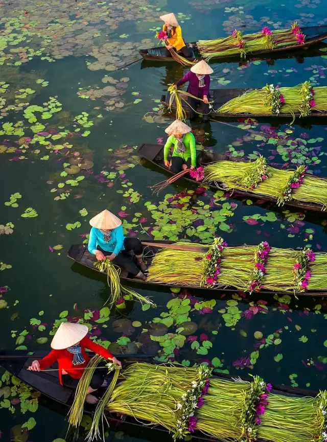Naturaleza salvaje e historias legendarias de Vietnam