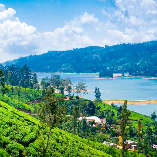 Kandy – Nuwara Eliya