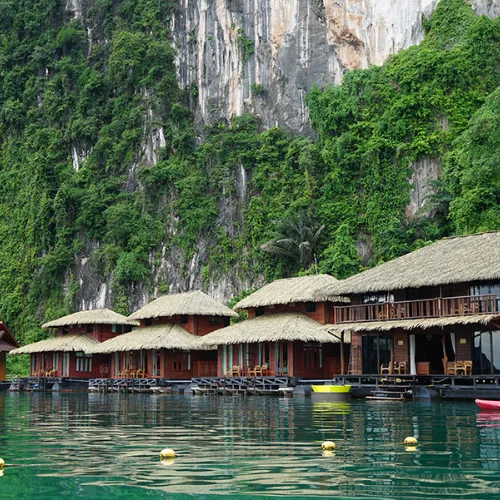 https://avexvietnamtravel.com/wp-content/uploads/2025/07/Panvaree-The-Greenery.webp