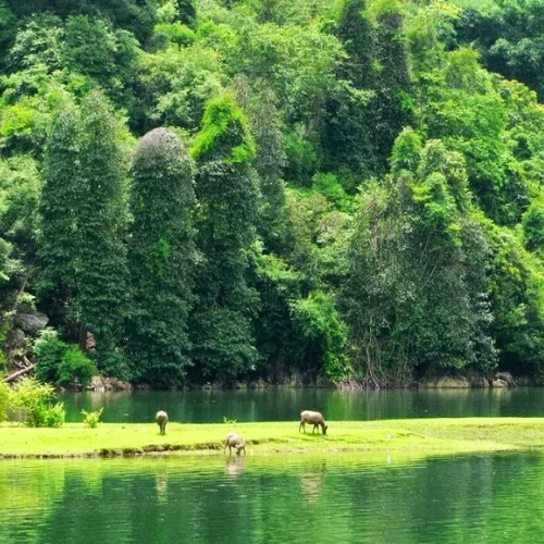 Lago Babe – Regreso a Hanoi