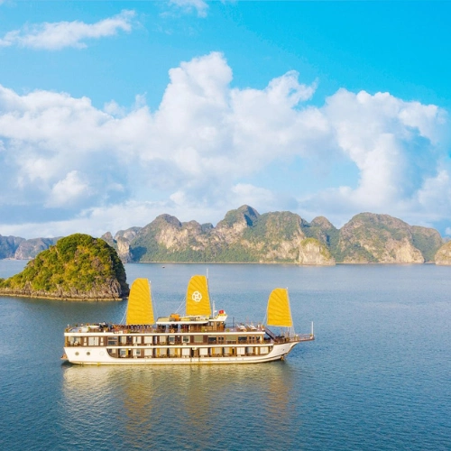 https://avexvietnamtravel.com/wp-content/uploads/2025/07/Peony-Cruises.webp
