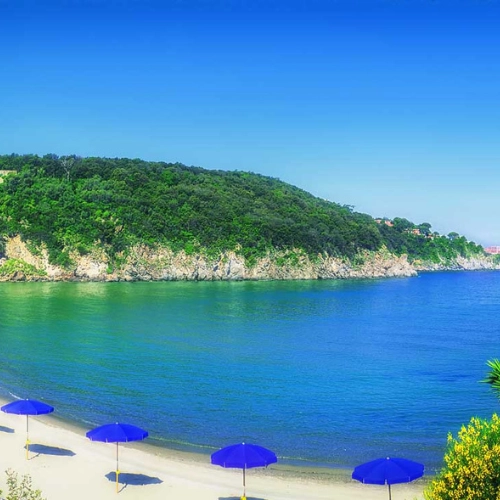 Aeropuerto - Negombo