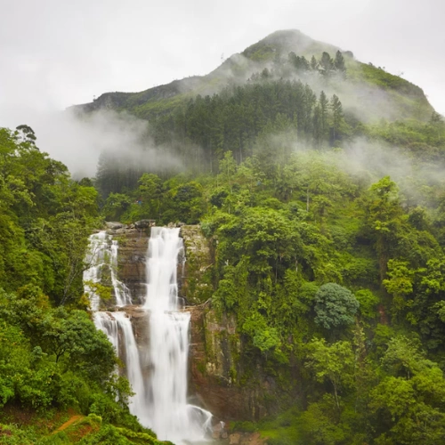 Kandy - Nuwara Eliya - Ella