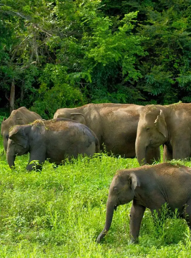 Tailandia: mil colores, mil experiencias