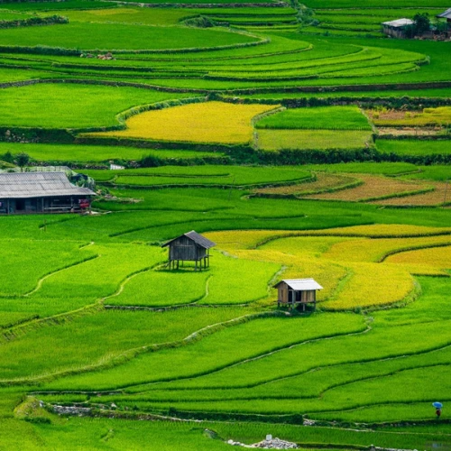 Mercado Muong Lo - Tu Le - Mu Cang Chai