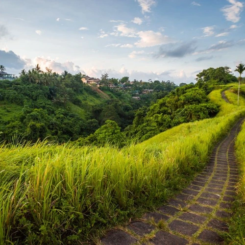 Ubud - Día libre