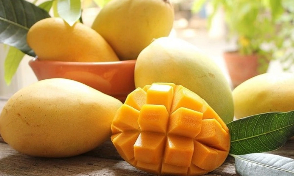 Mango