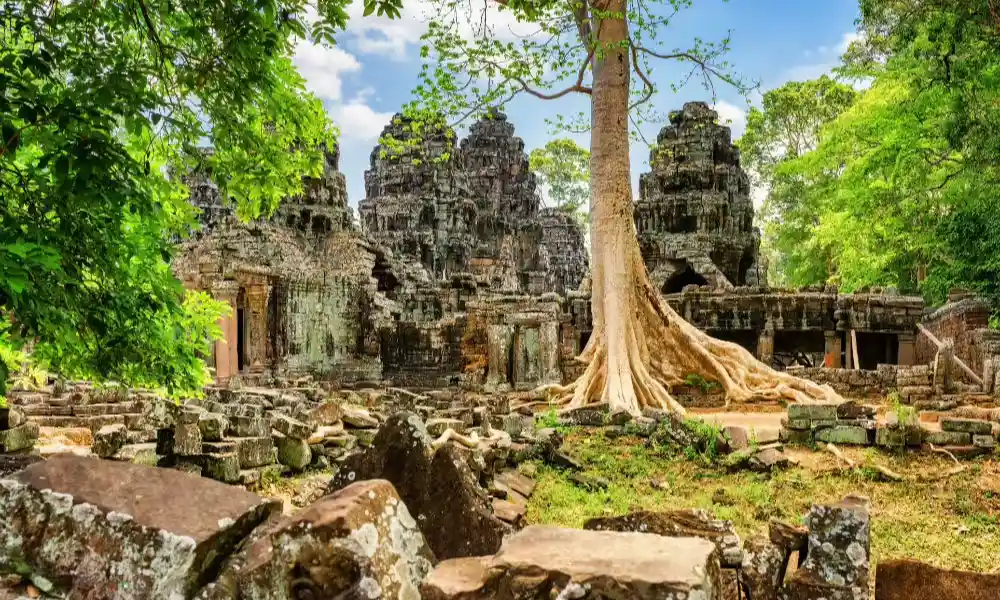 Tiempo adecuado para visitar