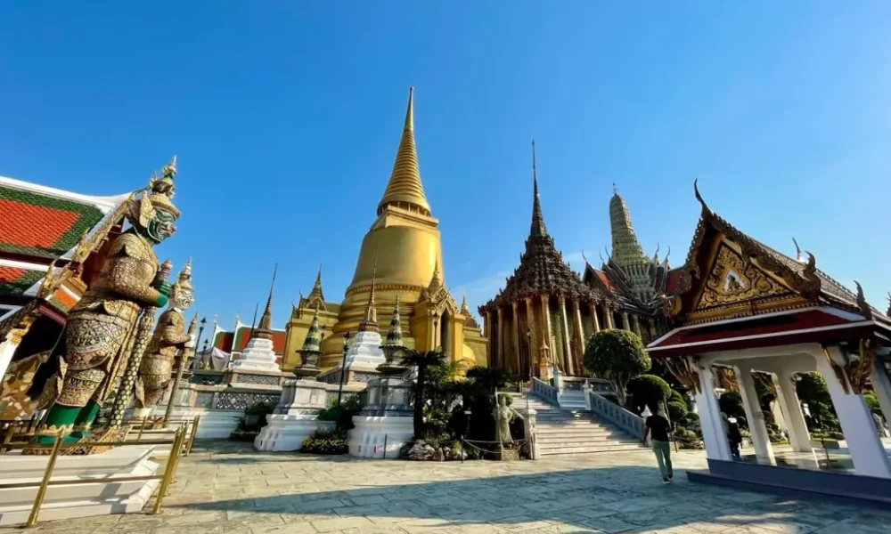 Descubrir la historia