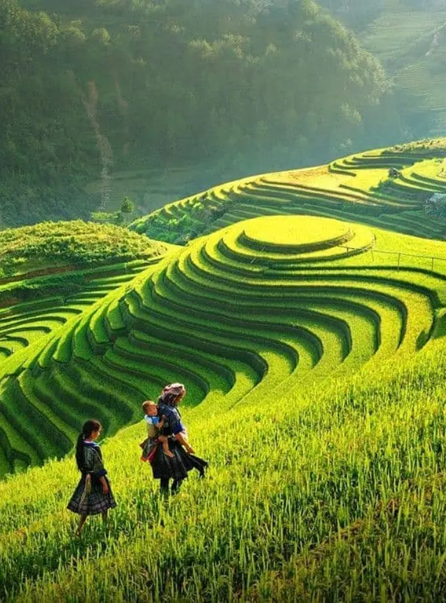 Excursión de 3 días 2 noches en Sapa