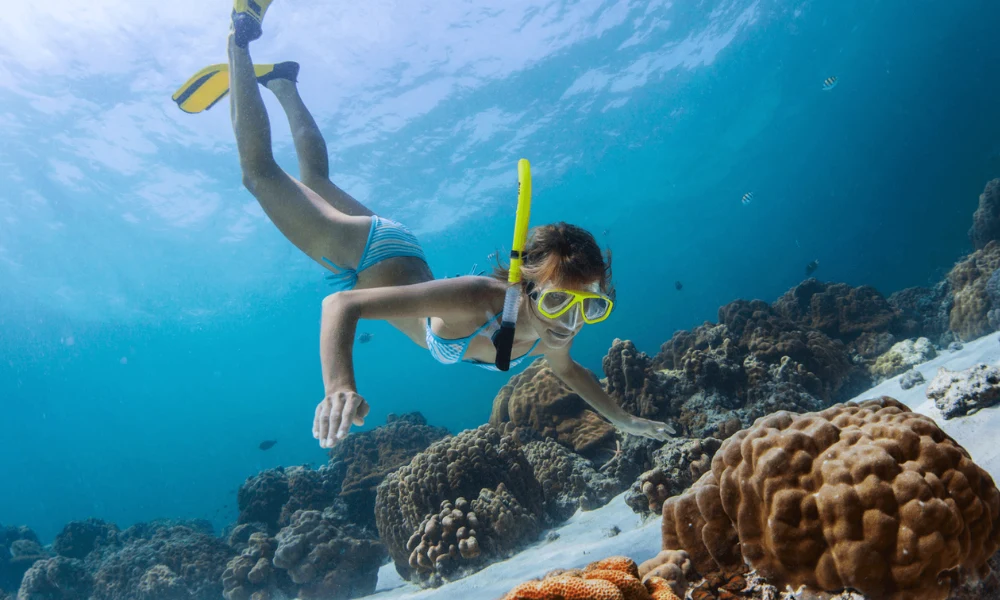 Snorkel en este lugar