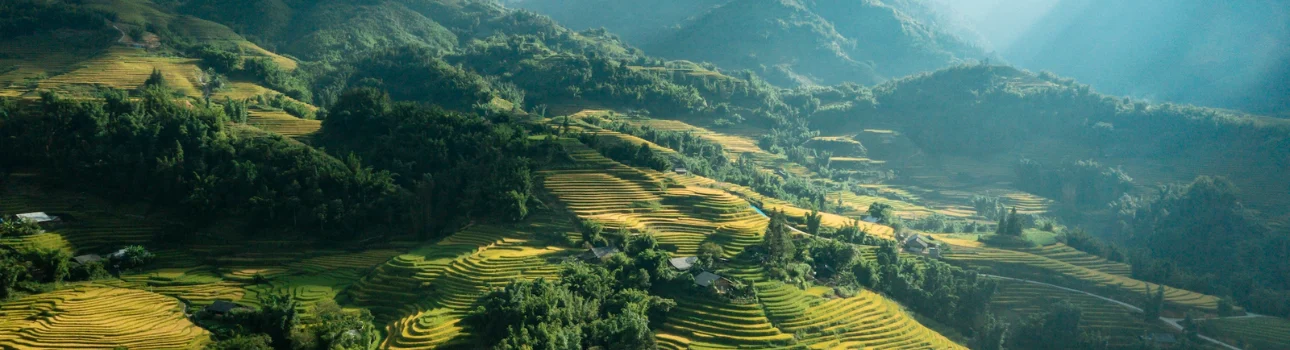 VIETNAM