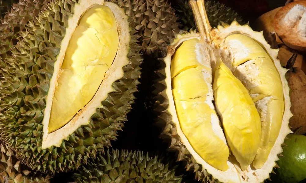 Durian