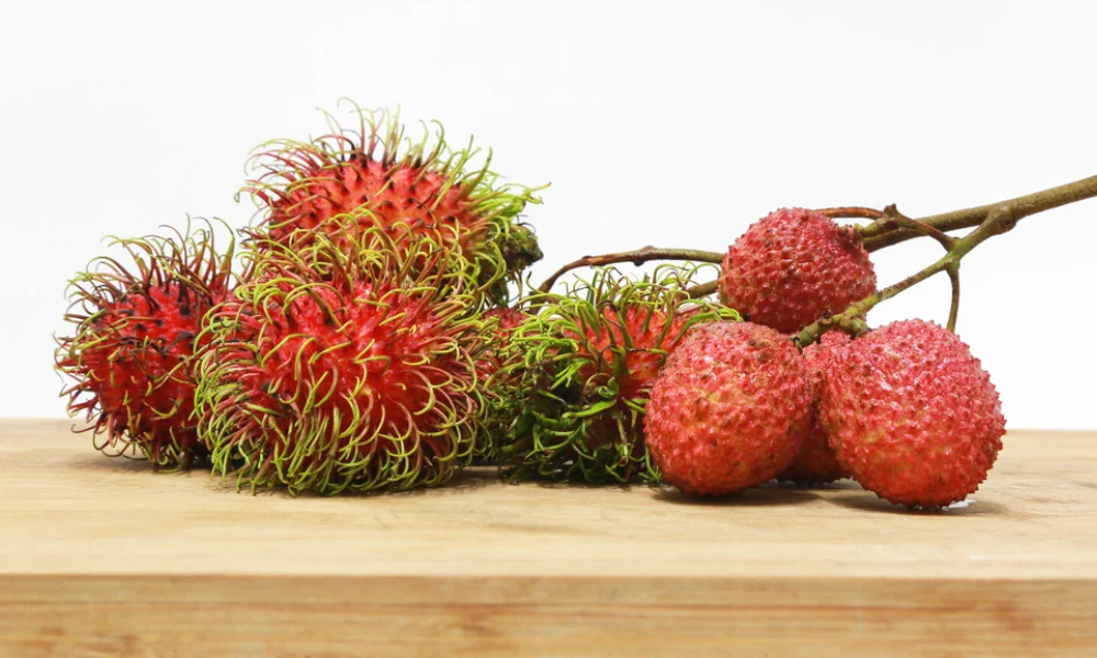 Rambután
