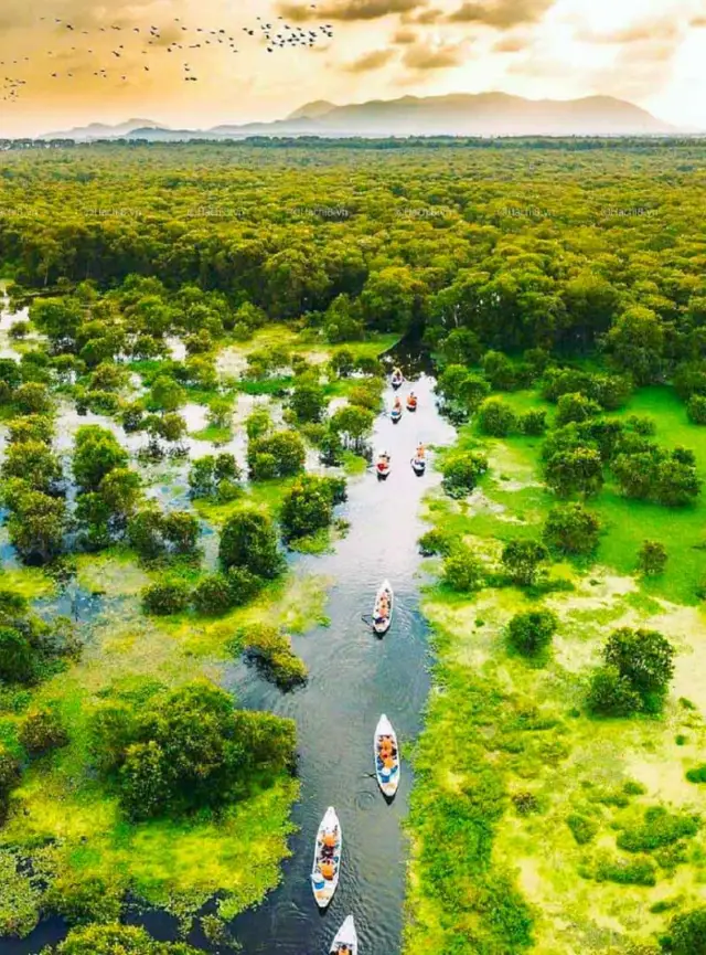 El Delta del Mekong impulsa el desarrollo de un turismo diverso y sostenible